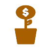 new capital